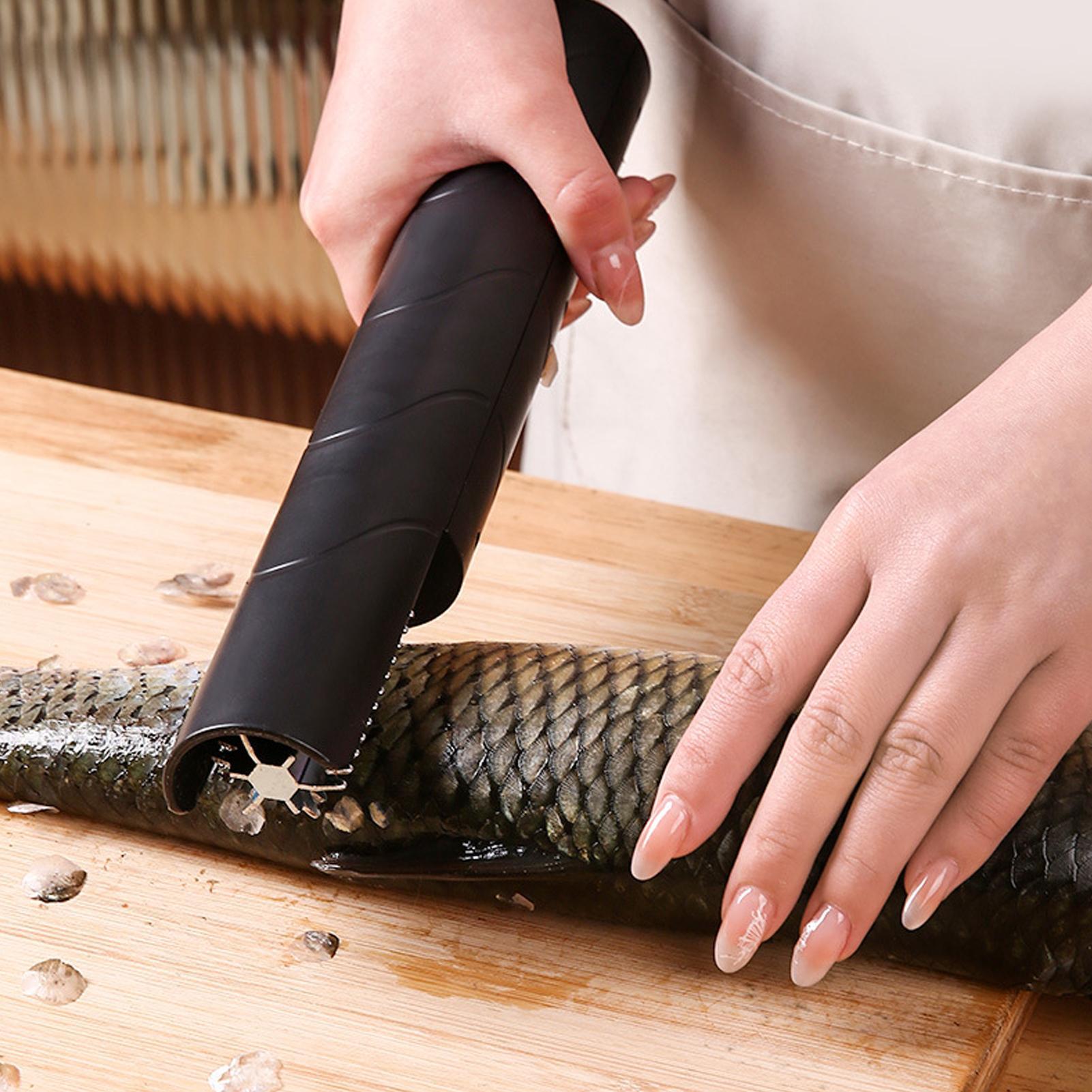 Écailleur de poisson sans fil, - Meal Prep Seafood avis et prix