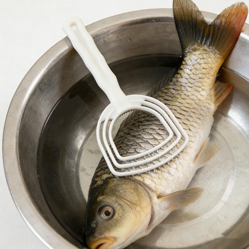 Grattoir manuel en plastique p - Meal Prep Seafood avis et prix